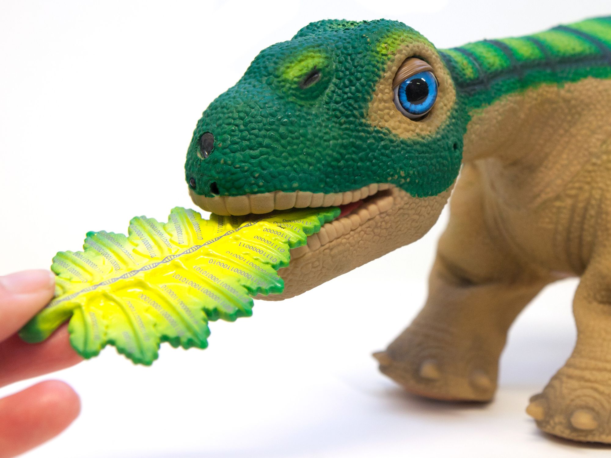 Pleo gallery image 1