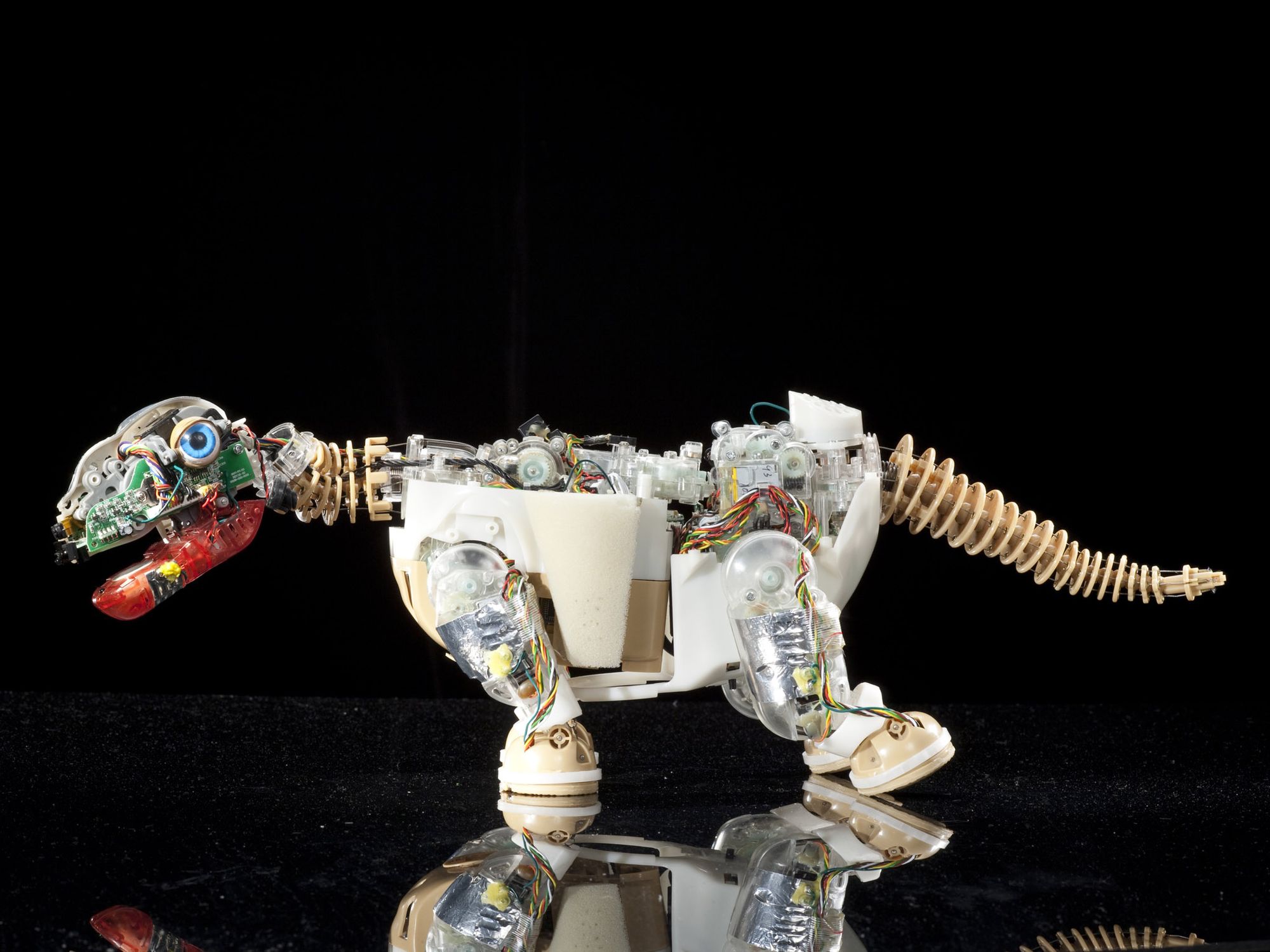 Pleo gallery image 2