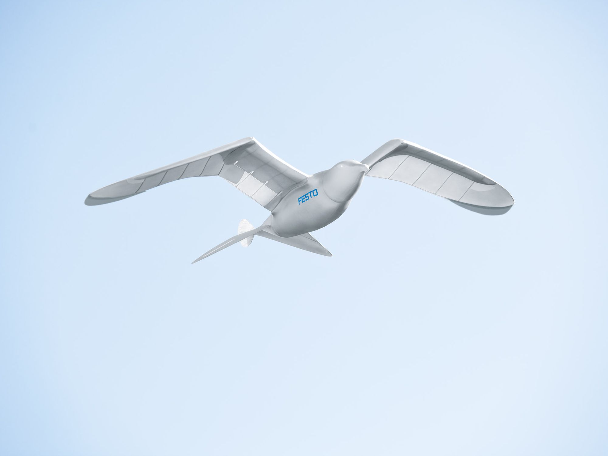 SmartBird gallery image 1