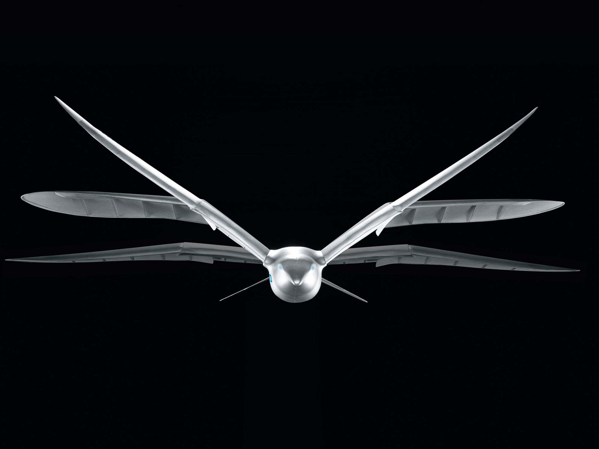SmartBird gallery image 2